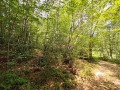 Продава ПАРЦЕЛ, гр. Разлог, област Благоевград, снимка 4