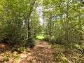 Продава  Парцел област Благоевград , гр. Разлог , 715 кв.м | 38734414 - изображение [6]