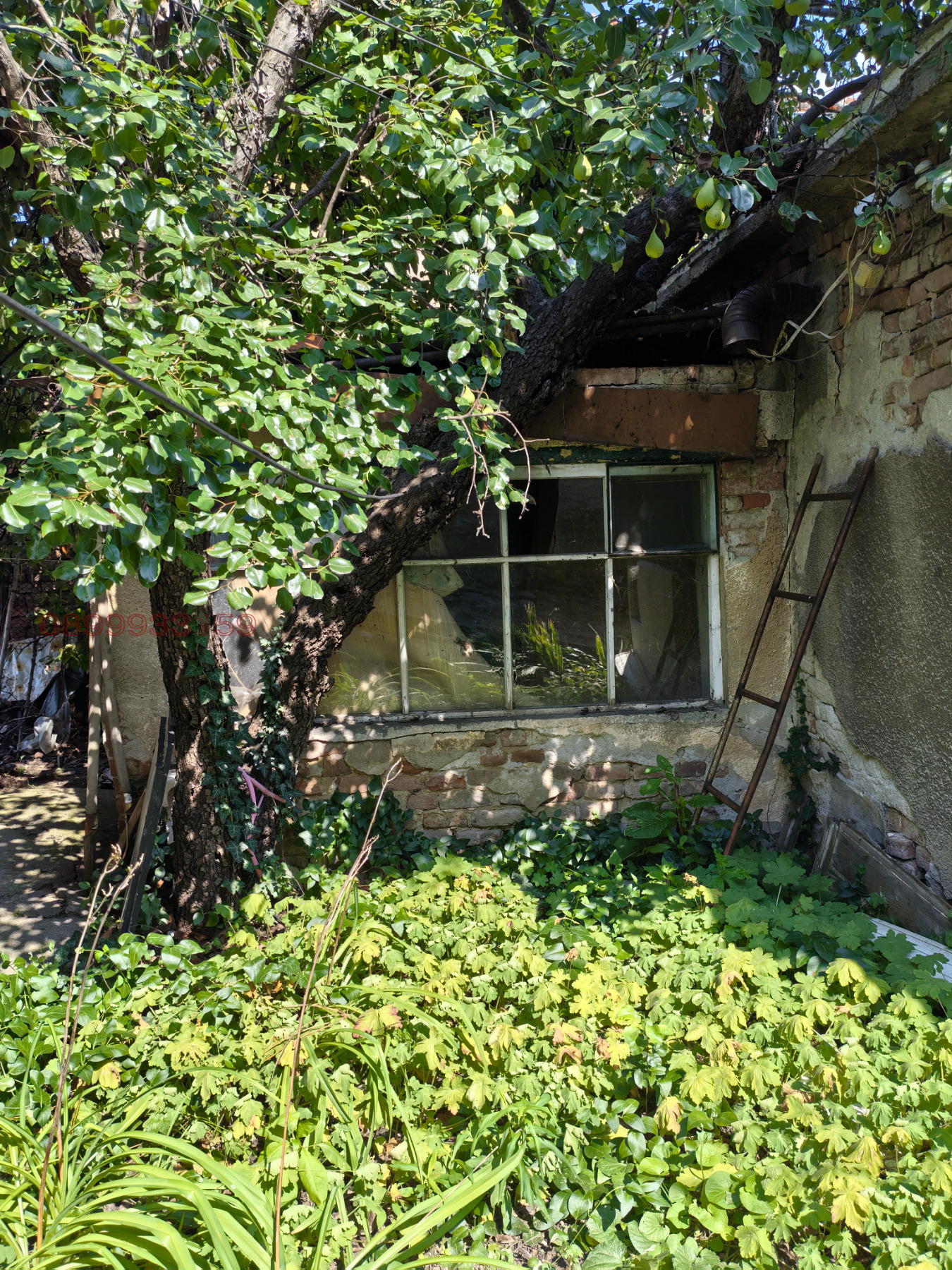 ������� ���� | Imot.bg � ����������� 17
