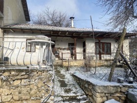 ����� ������� ����,�. ������� ������������, ������ �����