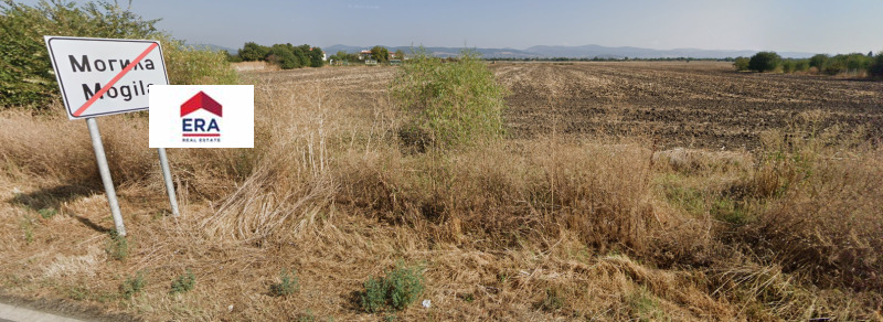 Zu verkaufen  Handlung region Stara Sagora , Mogila , 18469 qm | 65750941