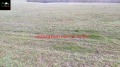 Продава ЗЕМЕДЕЛСКА ЗЕМЯ, гр. Килифарево, област Велико Търново, снимка 3