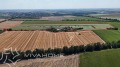 Продава ЗЕМЕДЕЛСКА ЗЕМЯ, с. Крушари, област Добрич, снимка 3