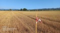Продава ПАРЦЕЛ, гр. София, с. Подгумер, снимка 1