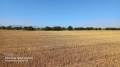 Продава ПАРЦЕЛ, гр. София, с. Подгумер, снимка 2