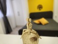 Продава  2-стаен град София , Света Троица , 42 кв.м | 82794925 - изображение [16]