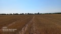 Продава  Парцел град София , с. Подгумер , 5933 кв.м | 12132433 - изображение [3]