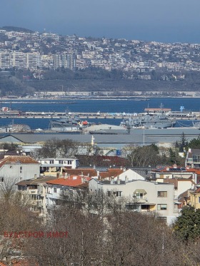 ����� ������� 2-�����,���� �����, ����������