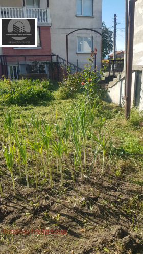 House Sapareva banya, region Kyustendil 6