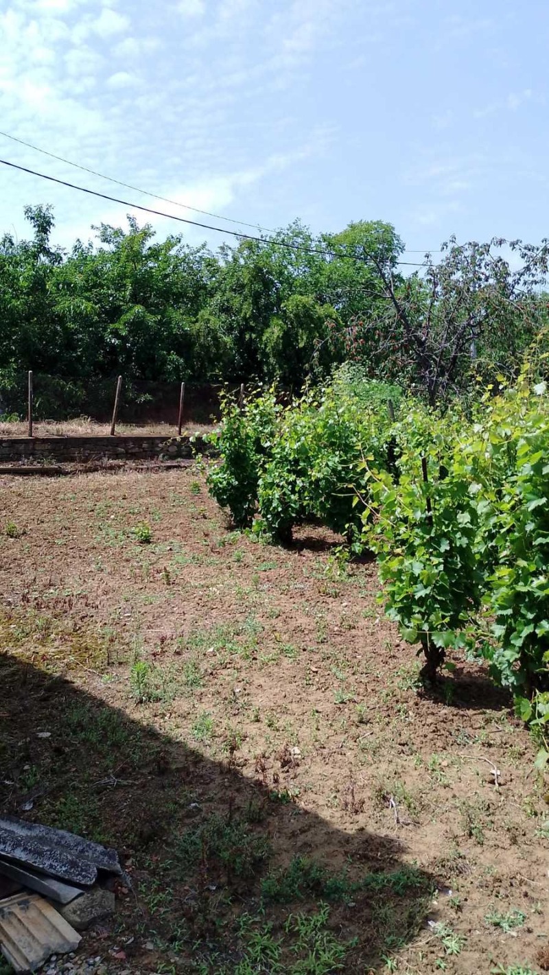 À venda  Casa região Burgas , Bania , 90 m² | 45387858 - imagem [2]