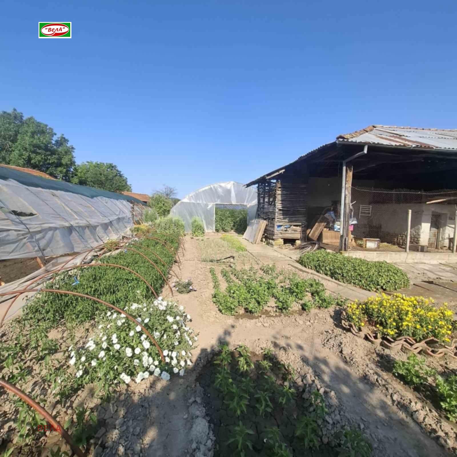 ������� ���� | Imot.bg � ����������� 7