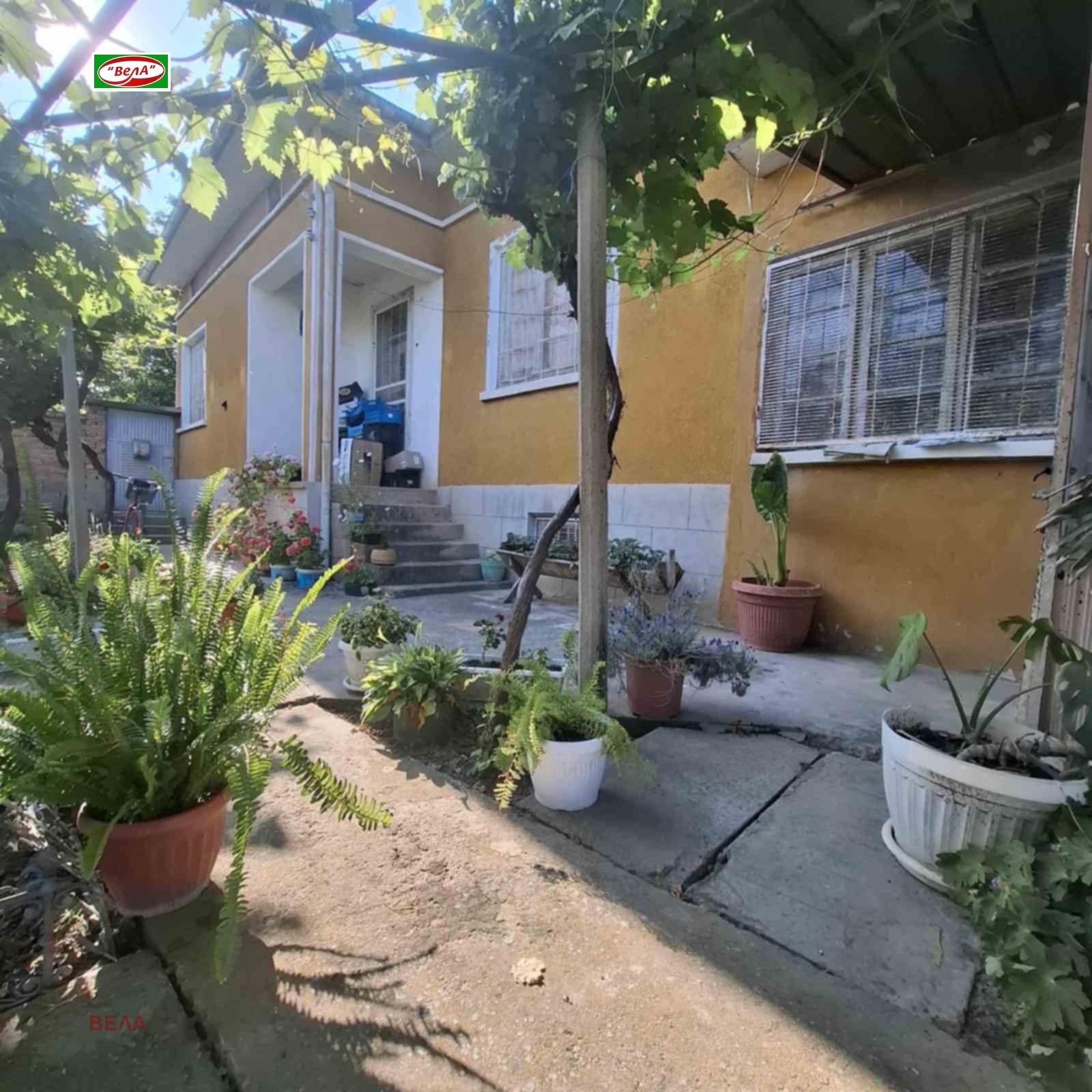 ������� ���� | Imot.bg � ����������� 1