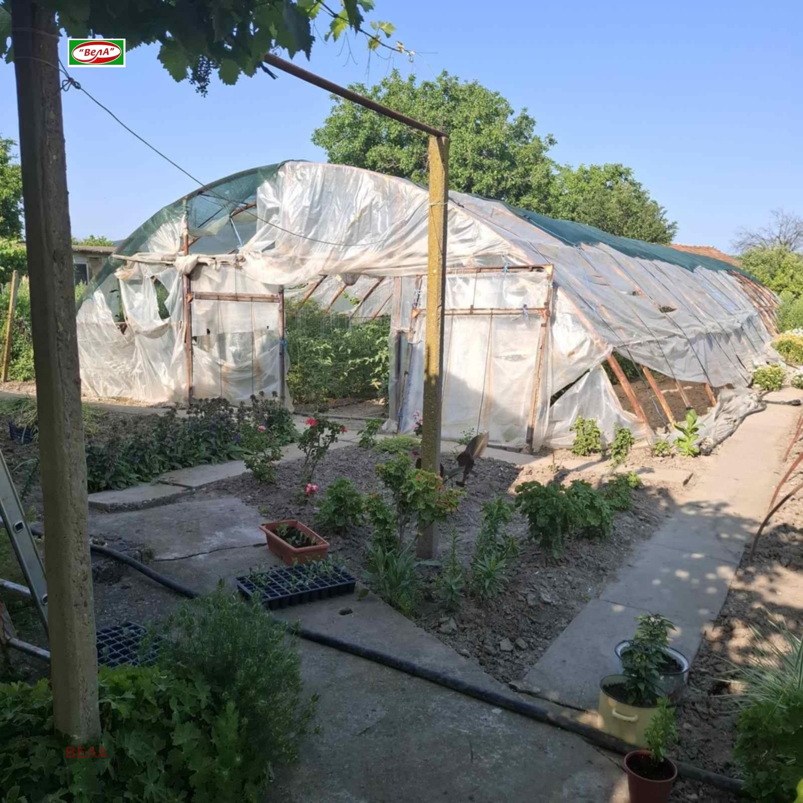 ������� ���� | Imot.bg � ����������� 5