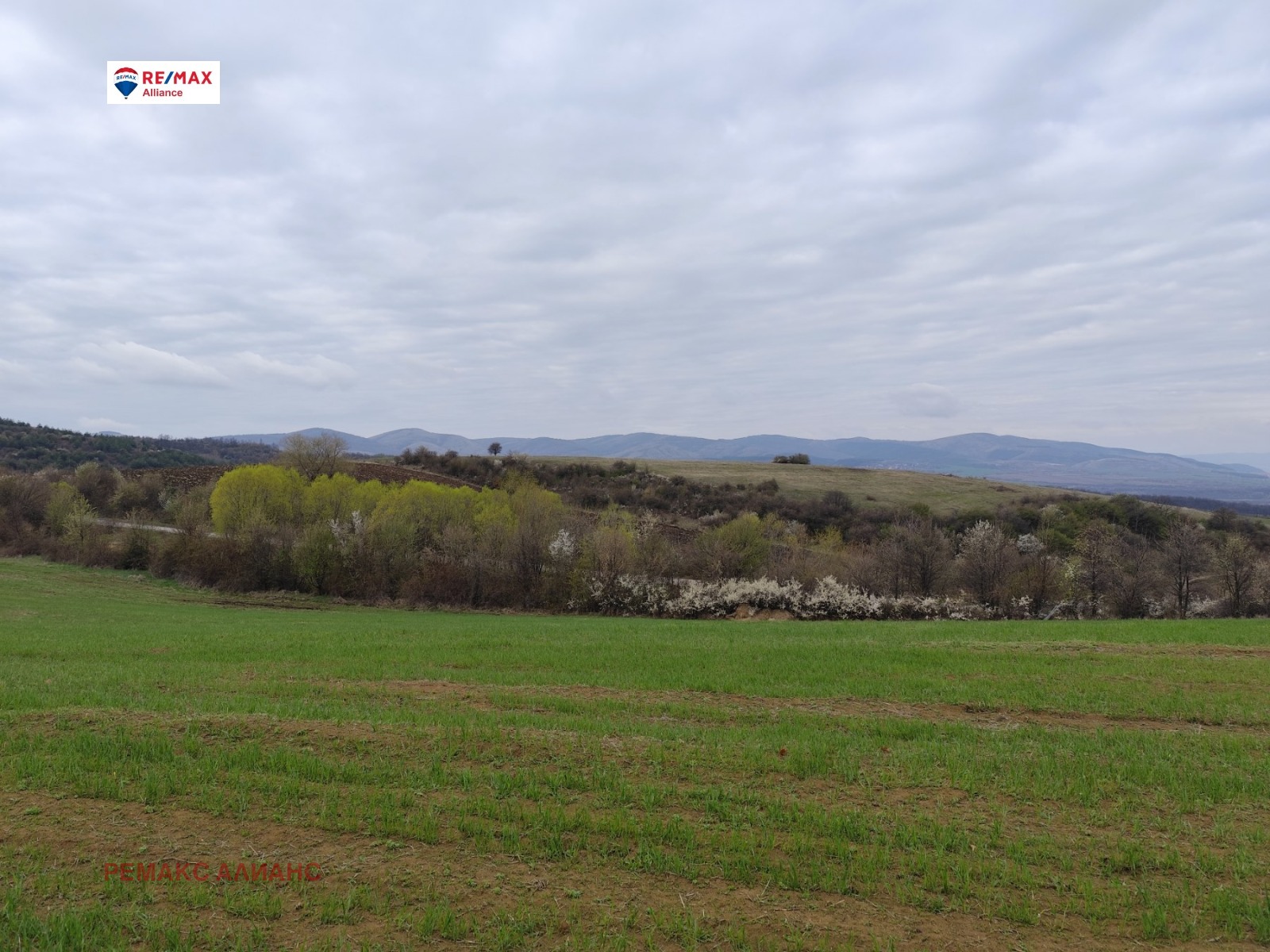 Продава ПАРЦЕЛ | Imot.bg — изображение 9