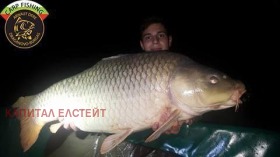 ������� ���������� ���� | Imot.bg � ����� ������ 12