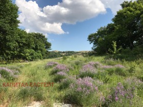 ������� ���������� ���� | Imot.bg � ����� ������ 9