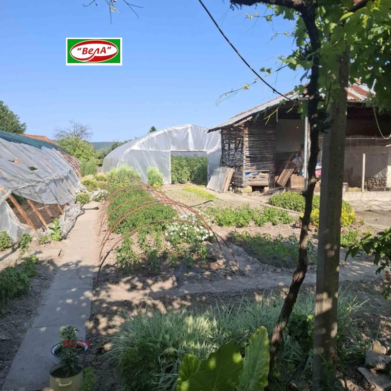 Продава КЪЩА, с. Крушето, област Велико Търново, снимка 7 - Къщи - 53022451