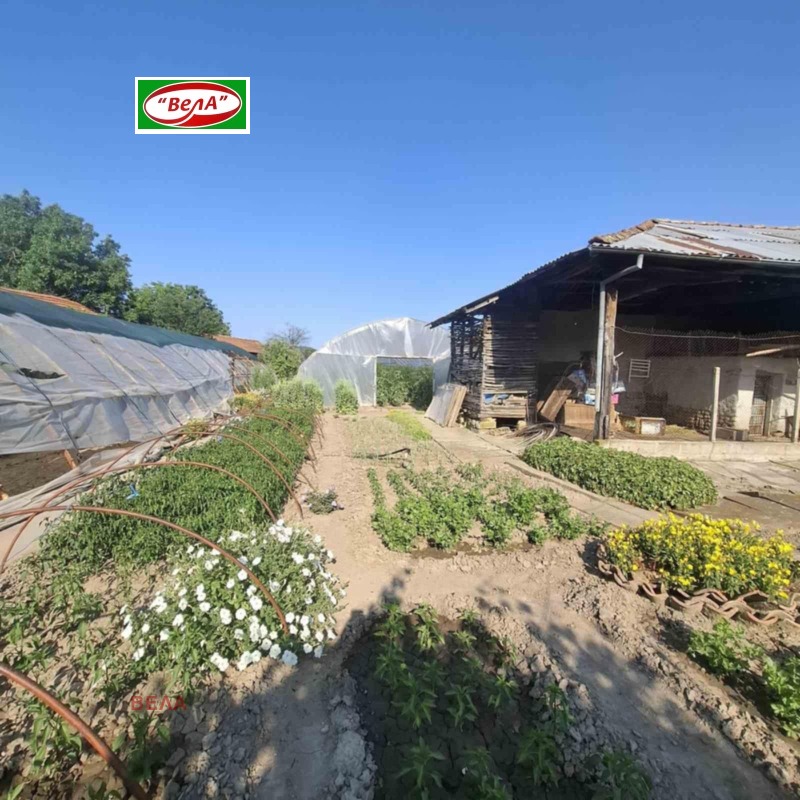 Продава КЪЩА, с. Крушето, област Велико Търново, снимка 6 - Къщи - 53022451