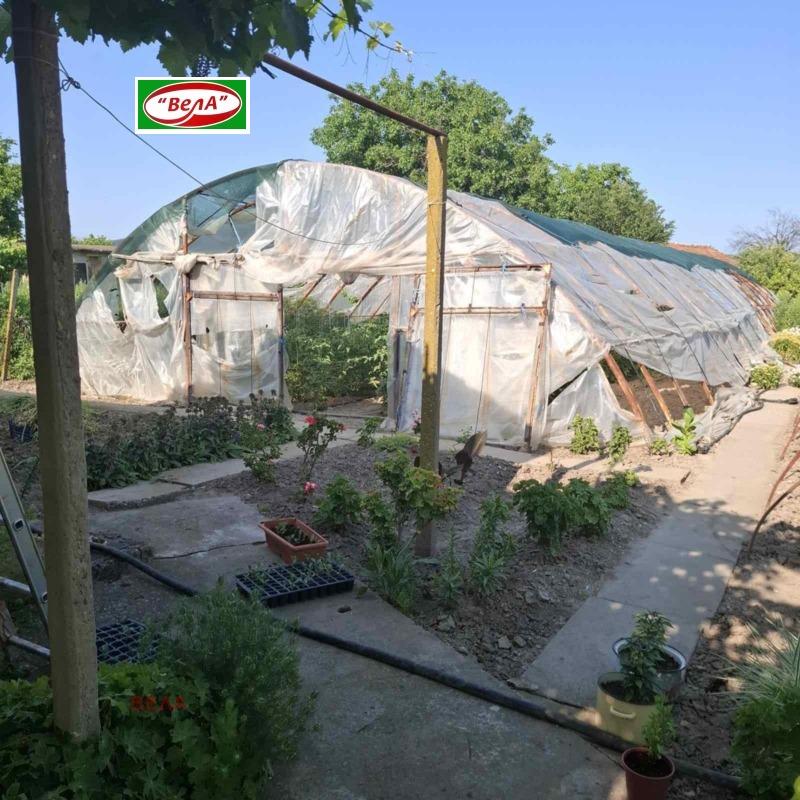 Продава КЪЩА, с. Крушето, област Велико Търново, снимка 4 - Къщи - 53022451