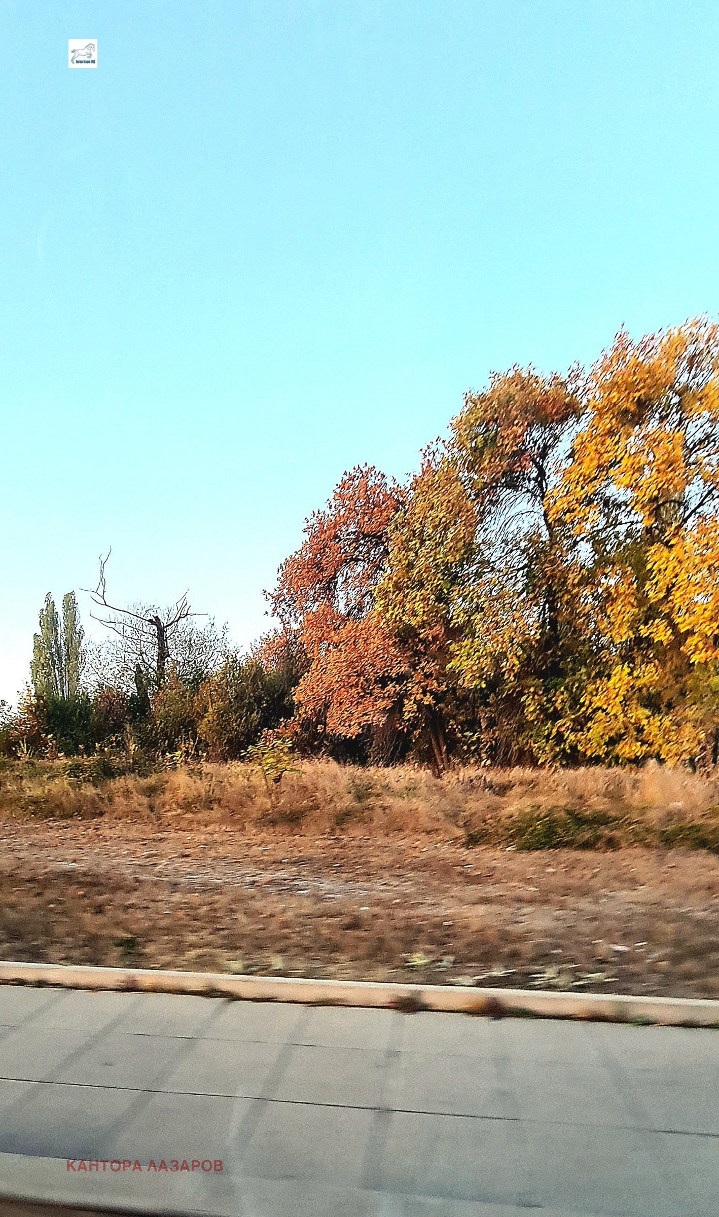 Продава ПАРЦЕЛ, гр. София, Република, снимка 2 - Парцели - 45477739