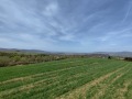 Продава ПАРЦЕЛ, област Перник, с. Кладница • 160000 € • 55986580 — Holmes.bg