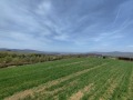 Продава ПАРЦЕЛ, област Перник, с. Кладница • 160000 € • 55986580 — Holmes.bg
