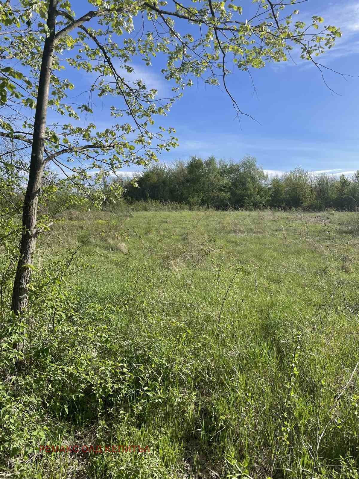 ������� ������ | Imot.bg � ����������� 2