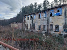 ����� ������� ����. ���������,���� �������, �������