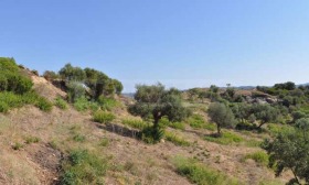 ������� ������ | Imot.bg � ����� ������ 13