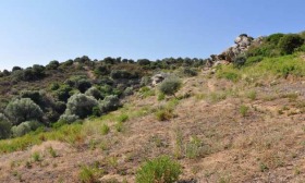 ������� ������ | Imot.bg � ����� ������ 14