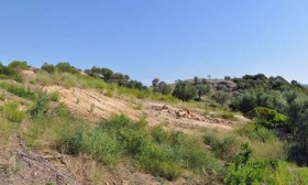 ������� ������ | Imot.bg � ����� ������ 8