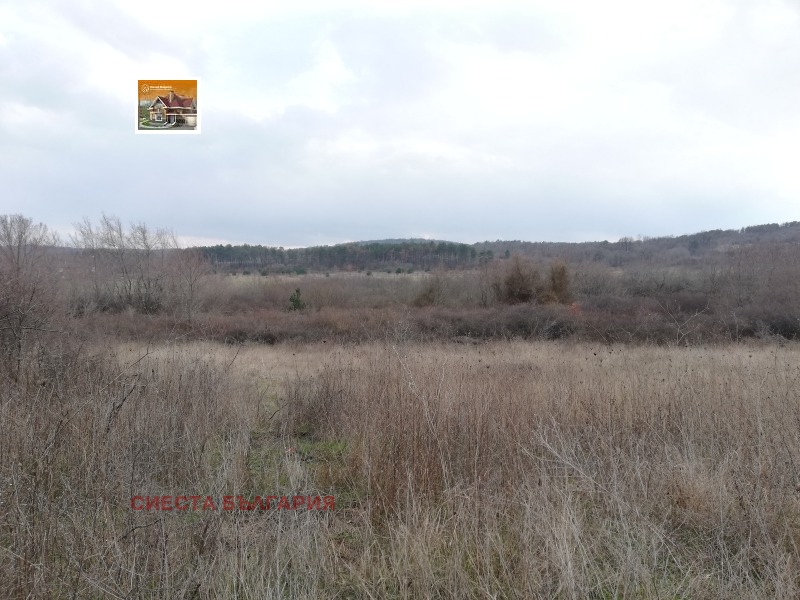 Продава  Парцел област Бургас , гр. Созопол , 9202 кв.м | 41845948 - изображение [13]