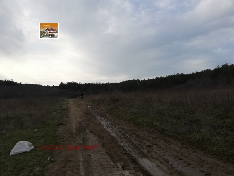 Продава  Парцел област Бургас , гр. Созопол , 9202 кв.м | 41845948 - изображение [11]