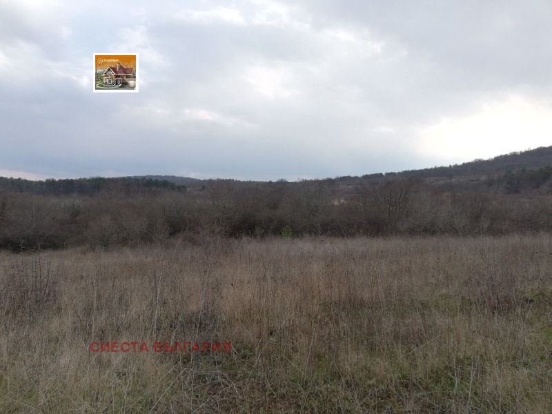 Продава  Парцел област Бургас , гр. Созопол , 9202 кв.м | 41845948 - изображение [10]