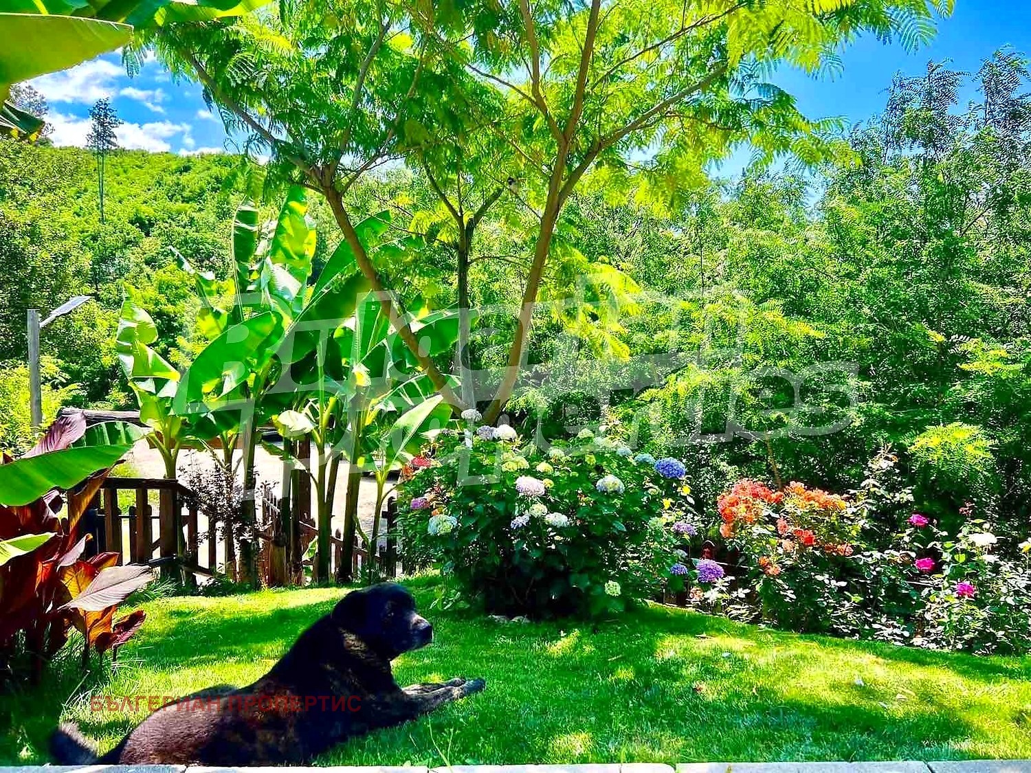 Продава КЪЩА, с. Ощава, област Благоевград, снимка 3 - Къщи - 53601839