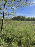 Продава ПАРЦЕЛ, с. Велчево, област Велико Търново, снимка 2