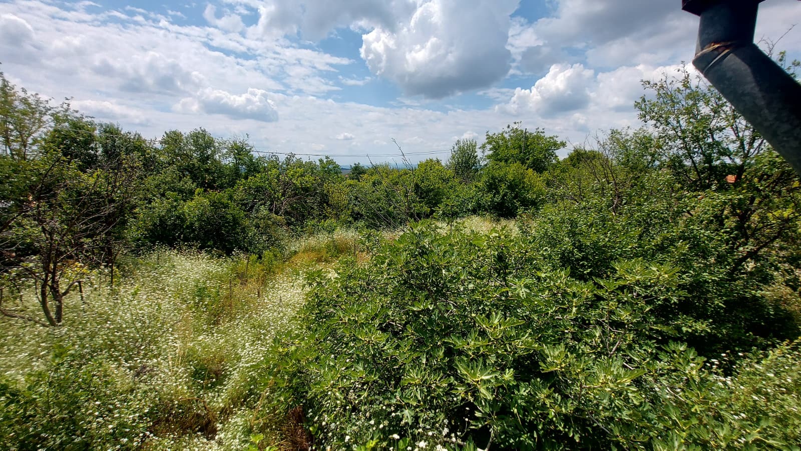������� ���� | Imot.bg � ����������� 4