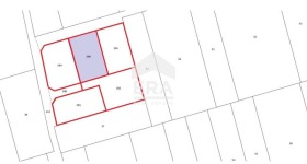 ����� ������� ������,�. ��������, ������ �����