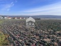 Продава ПАРЦЕЛ, с. Близнаци, област Варна, снимка 1