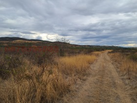 Tierra Parvenets, región Plovdiv 1