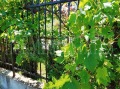 Продава 3-СТАЕН, град София, Овча купел • 193000 € • 55148595 — Holmes.bg