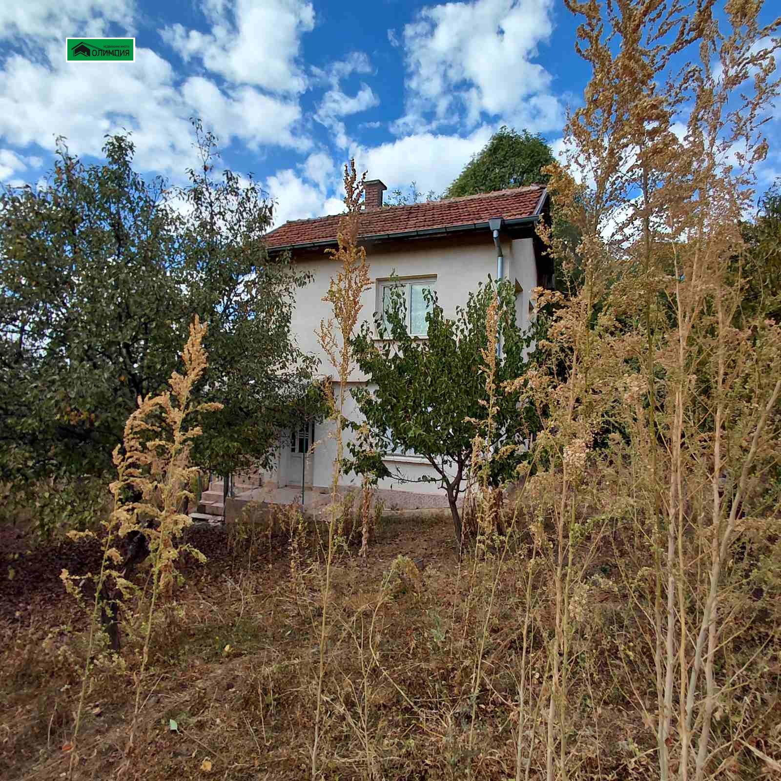 ������� ���� | Imot.bg � ����������� 8