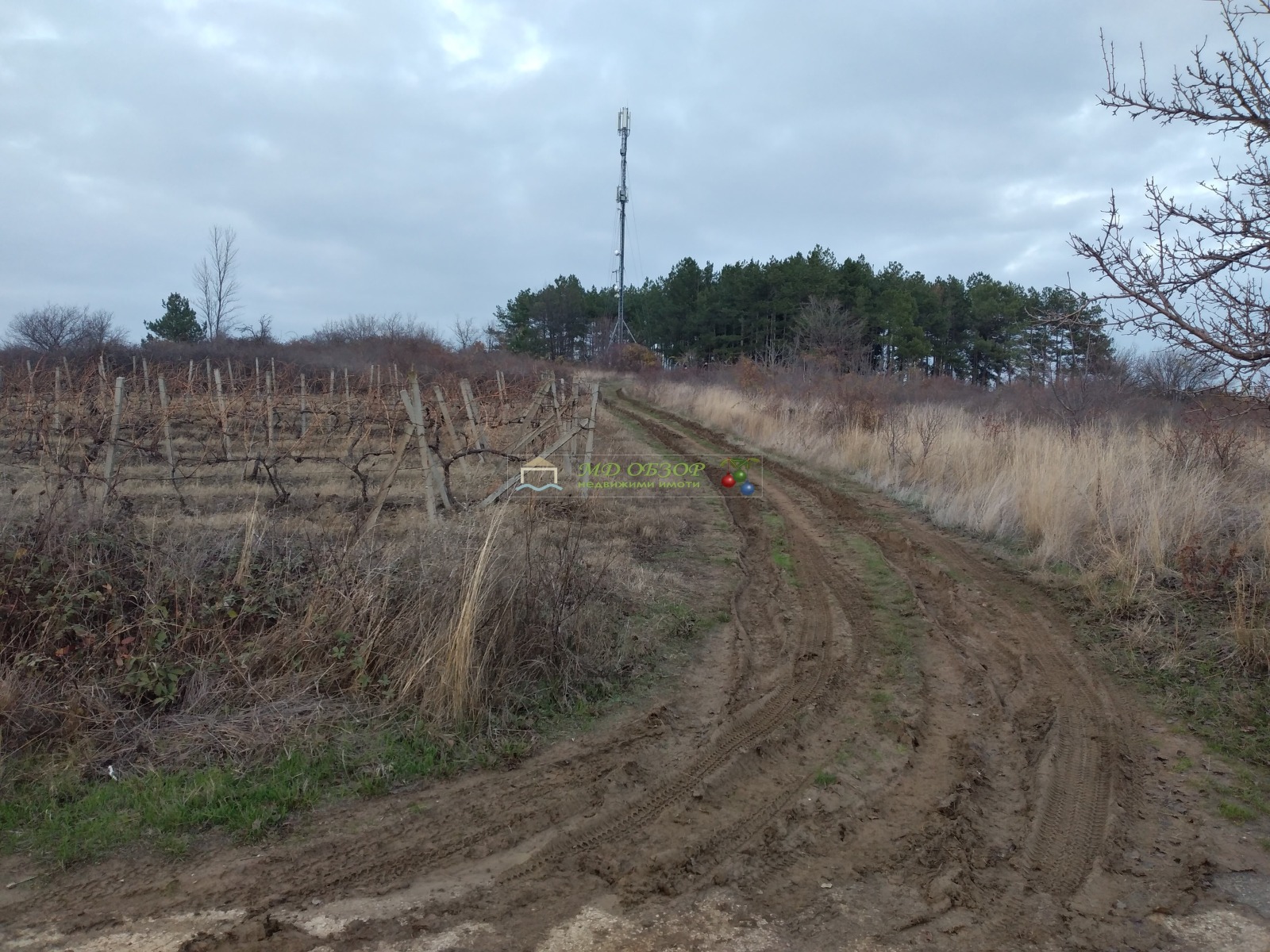 Продава ПАРЦЕЛ | Imot.bg — изображение 8