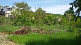 Hus Prilep, region Dobrich 7