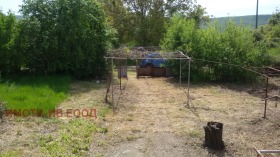 Hus Prilep, region Dobrich 8