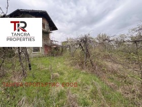 ����� ������� ����,�. �������, ������ ���������