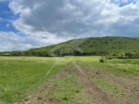 ����� ������� ������,�. �������, ������ ������