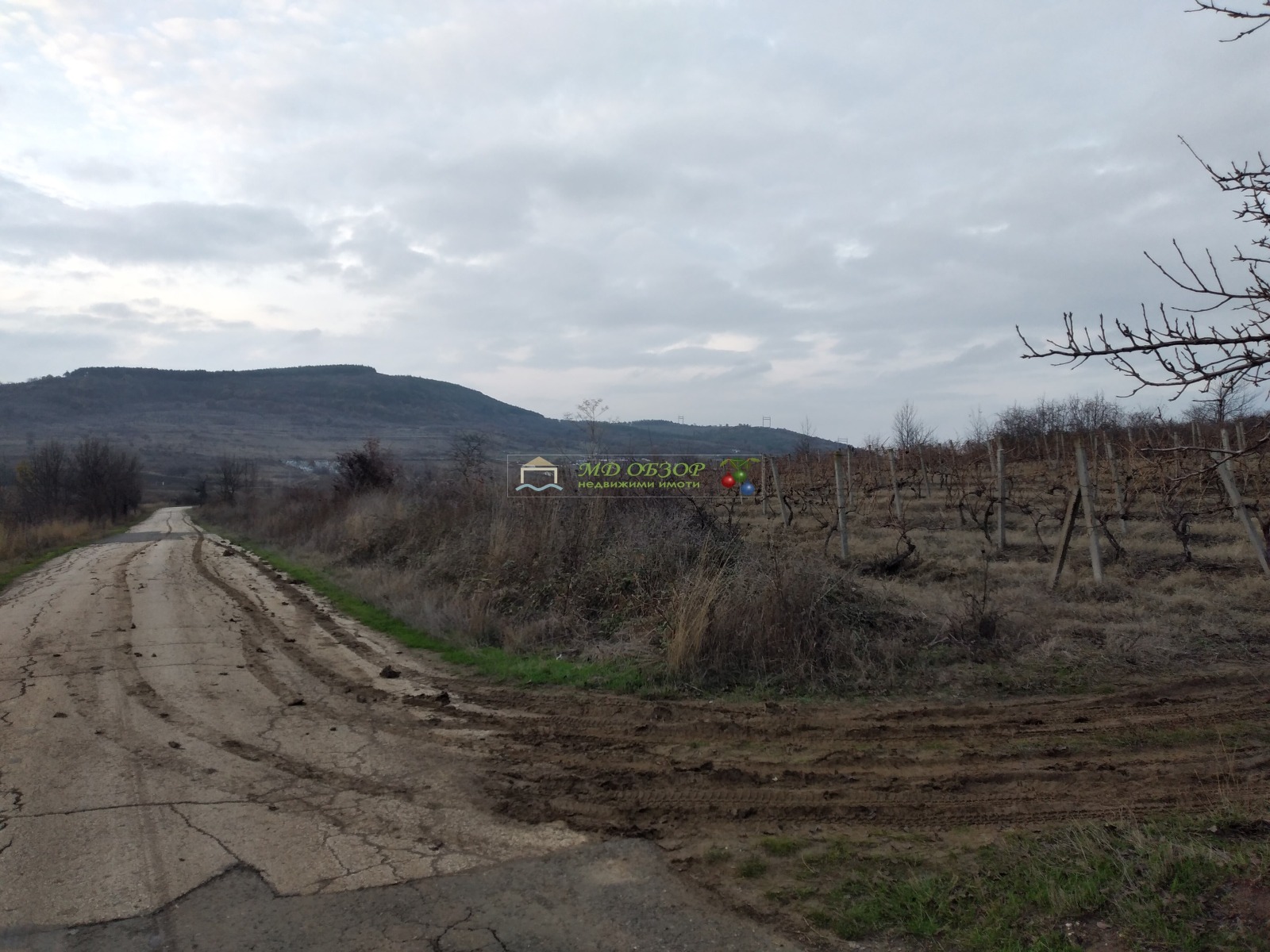 Продава ПАРЦЕЛ, гр. Обзор, област Бургас, снимка 2 - Парцели - 53674213