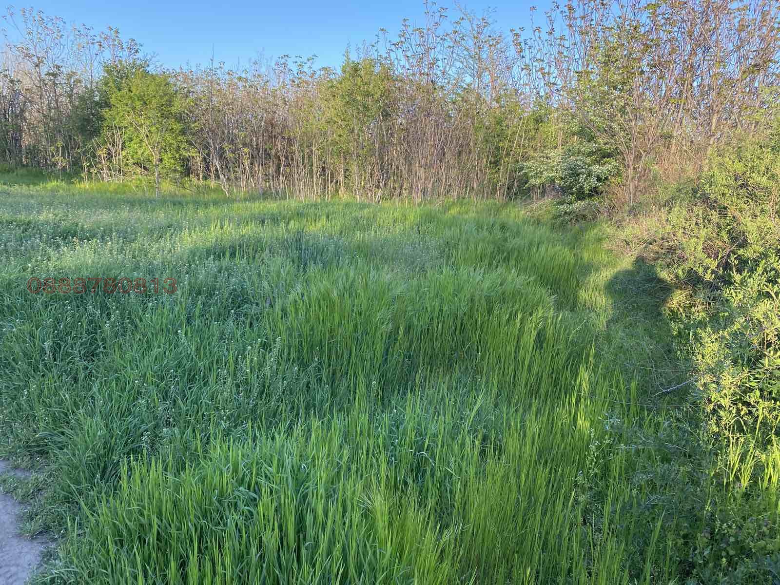 Продава ПАРЦЕЛ, гр. Козлодуй, област Враца, снимка 6 - Парцели - 54637329