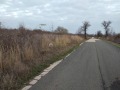 Продава ПАРЦЕЛ, гр. Обзор, област Бургас, снимка 3